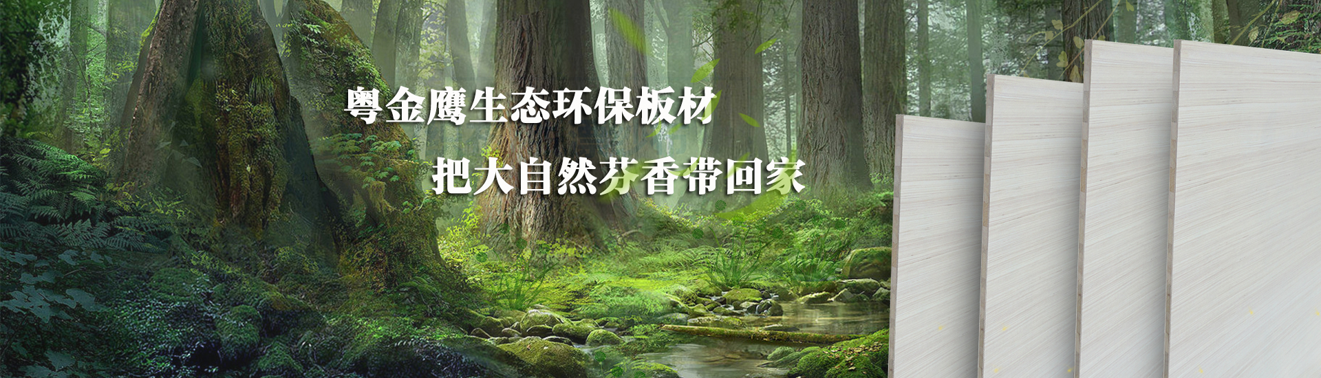 粤金鹰木业有限公司