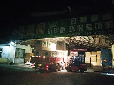 粤金鹰-发货展示