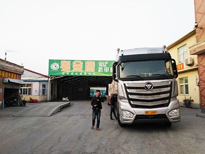 粤金鹰-发货展示