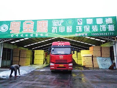 粤金鹰-发货展示