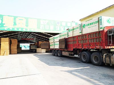 粤金鹰-发货展示