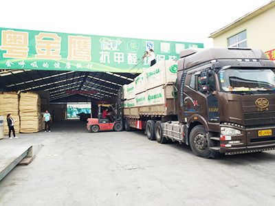 粤金鹰-发货展示