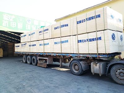 粤金鹰-发货展示