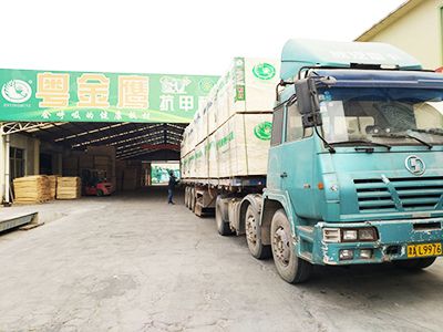 粤金鹰-发货展示