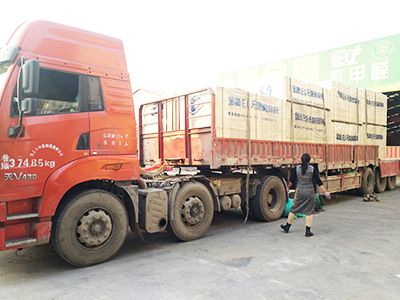 粤金鹰-发货展示